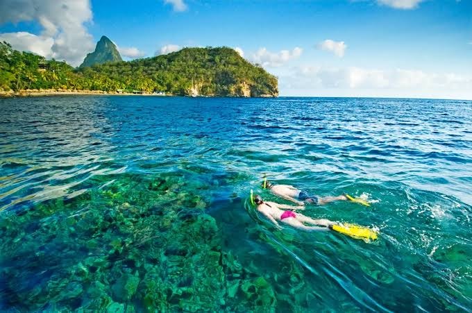 Boat & Snorkel